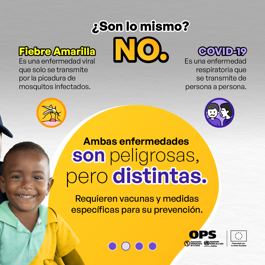Mitos sobre fiebre amarilla y COVID