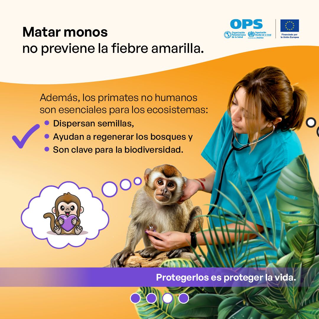 Monos 3