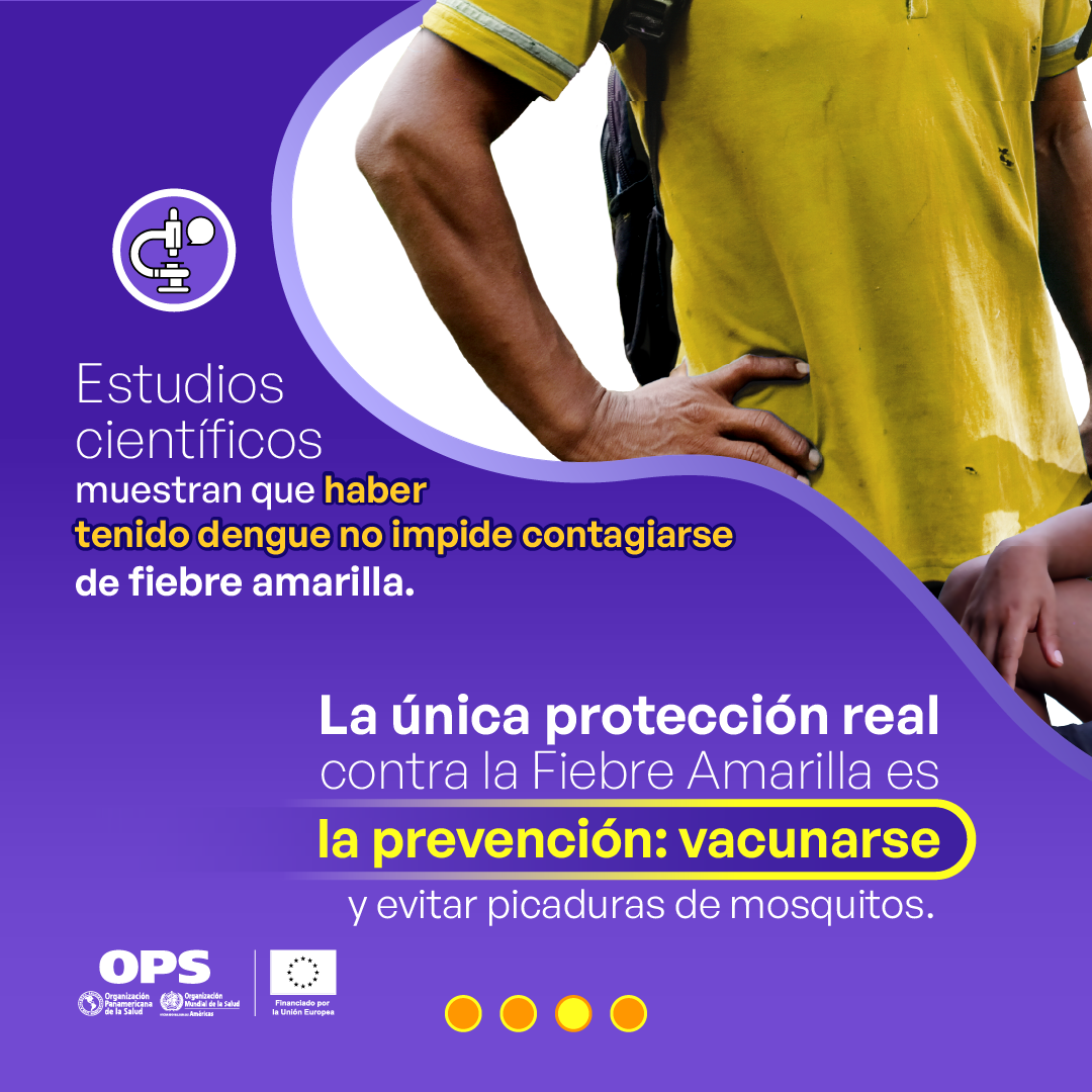 Informacion sobre el dengue y la fiebre amarilla