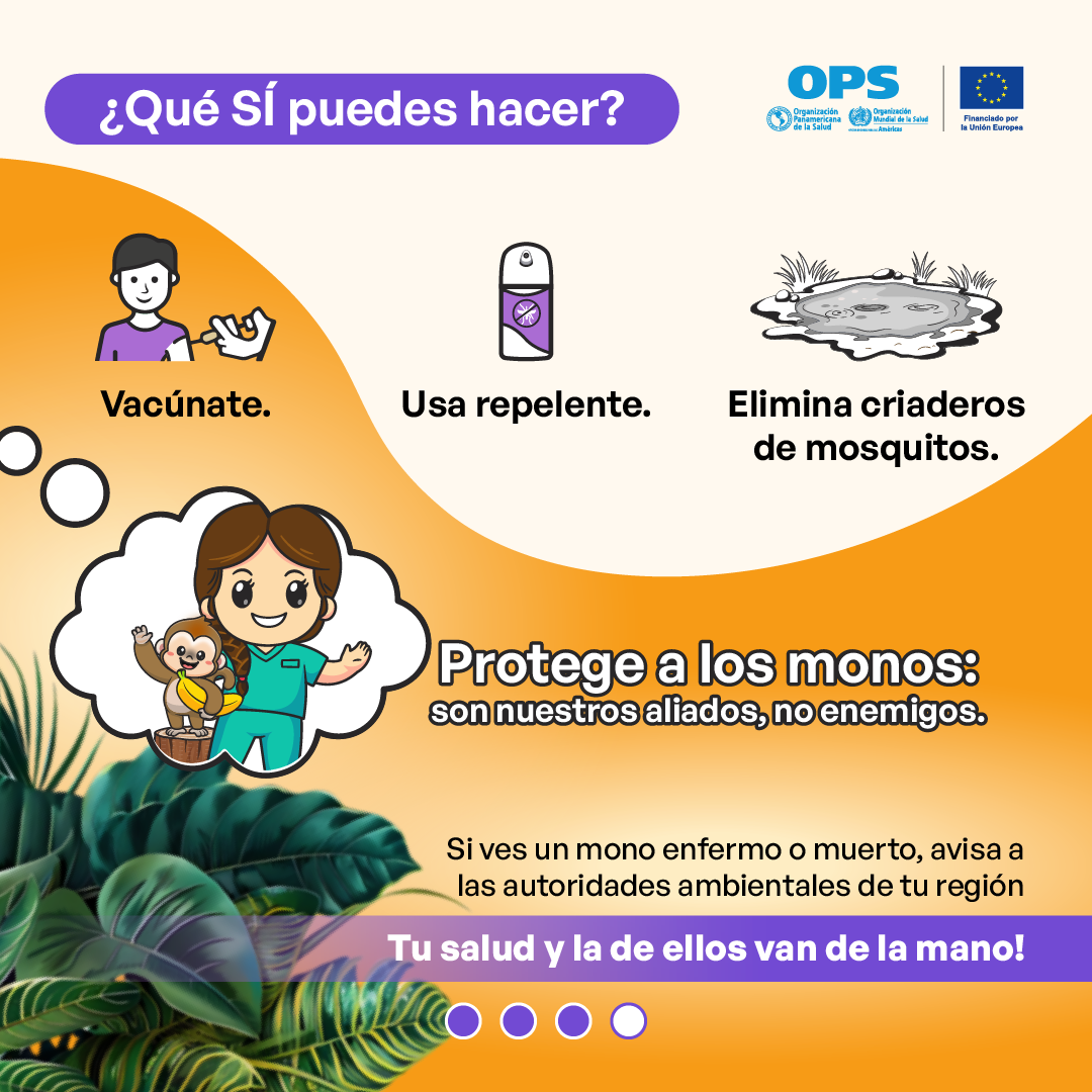 Monos 4