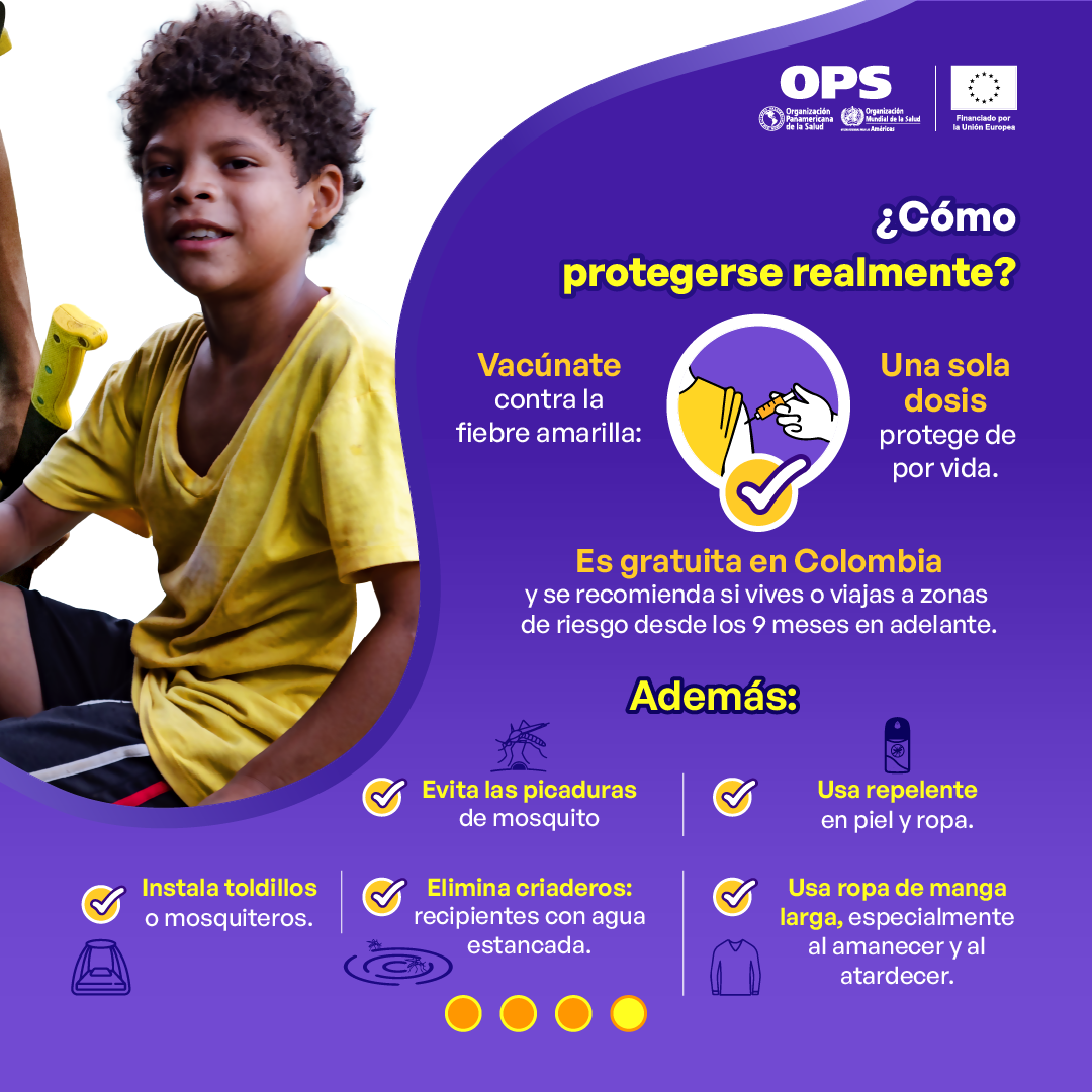 informacion util sobre dengue y fiebre amarilla