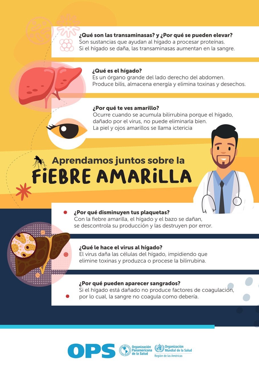 Afiche 7