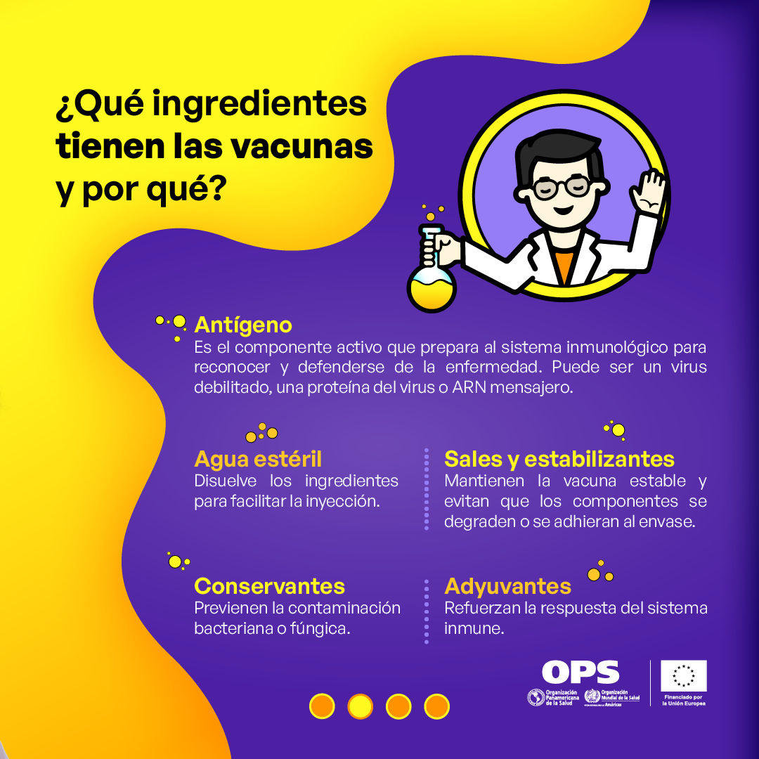 Mitos sobre compuestos vacunas fiebre amarilla