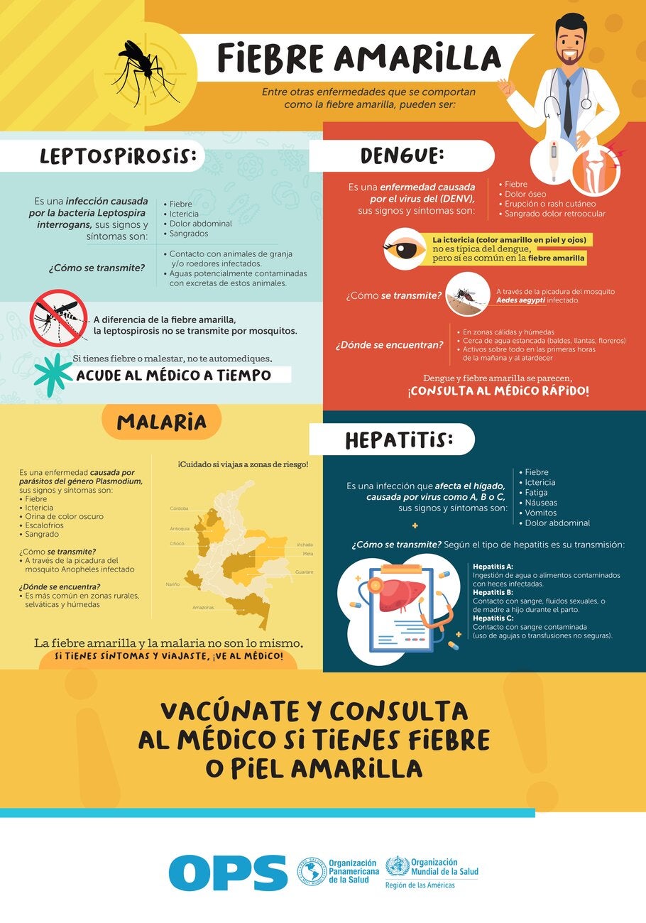 Afiche 6