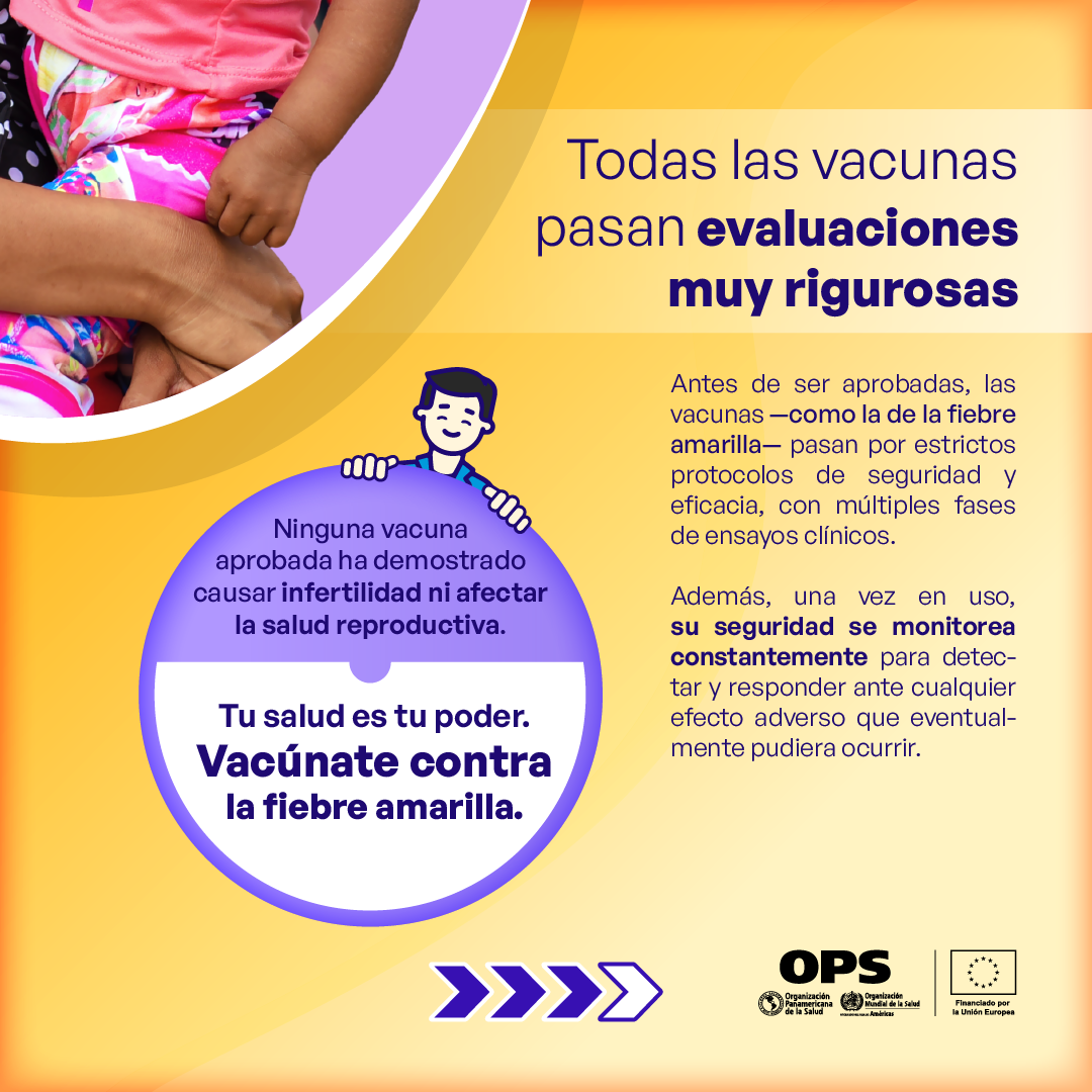 Mitos sobre fiebre amarilla e infertilidad