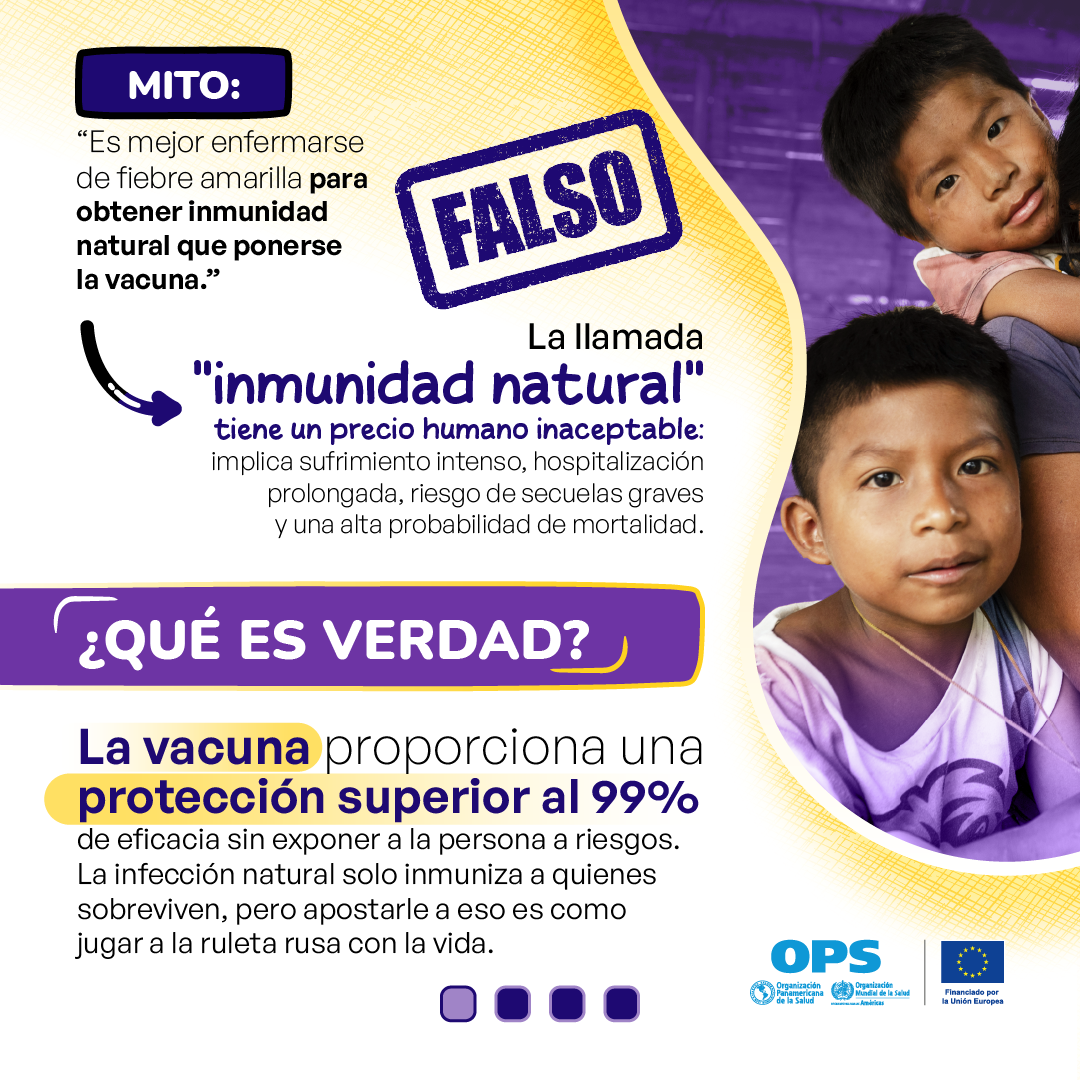 Mito sobre fiebre amarilla y supuesta inmunidad natural