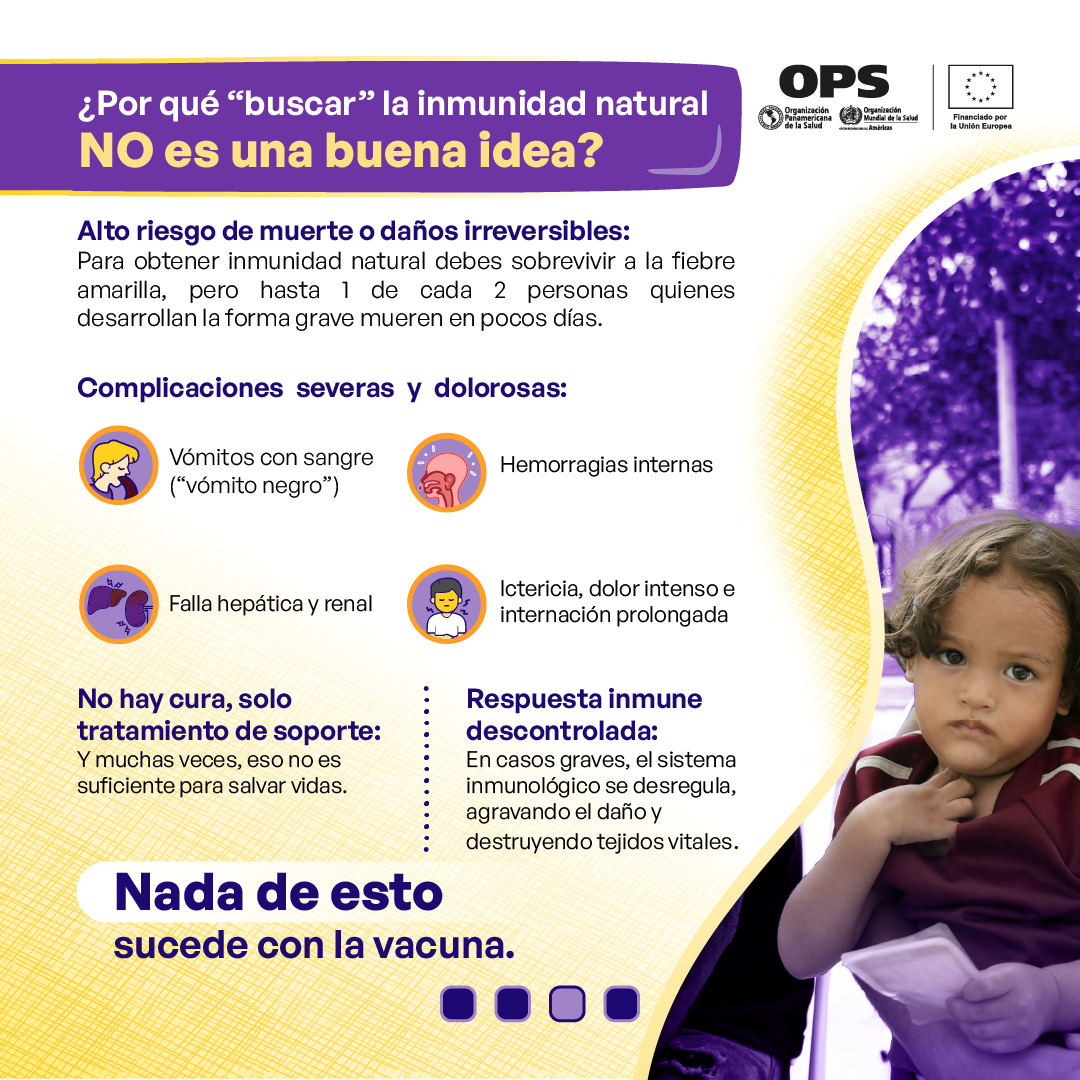 Mito sobre fiebre amarilla y supuesta inmunidad natural