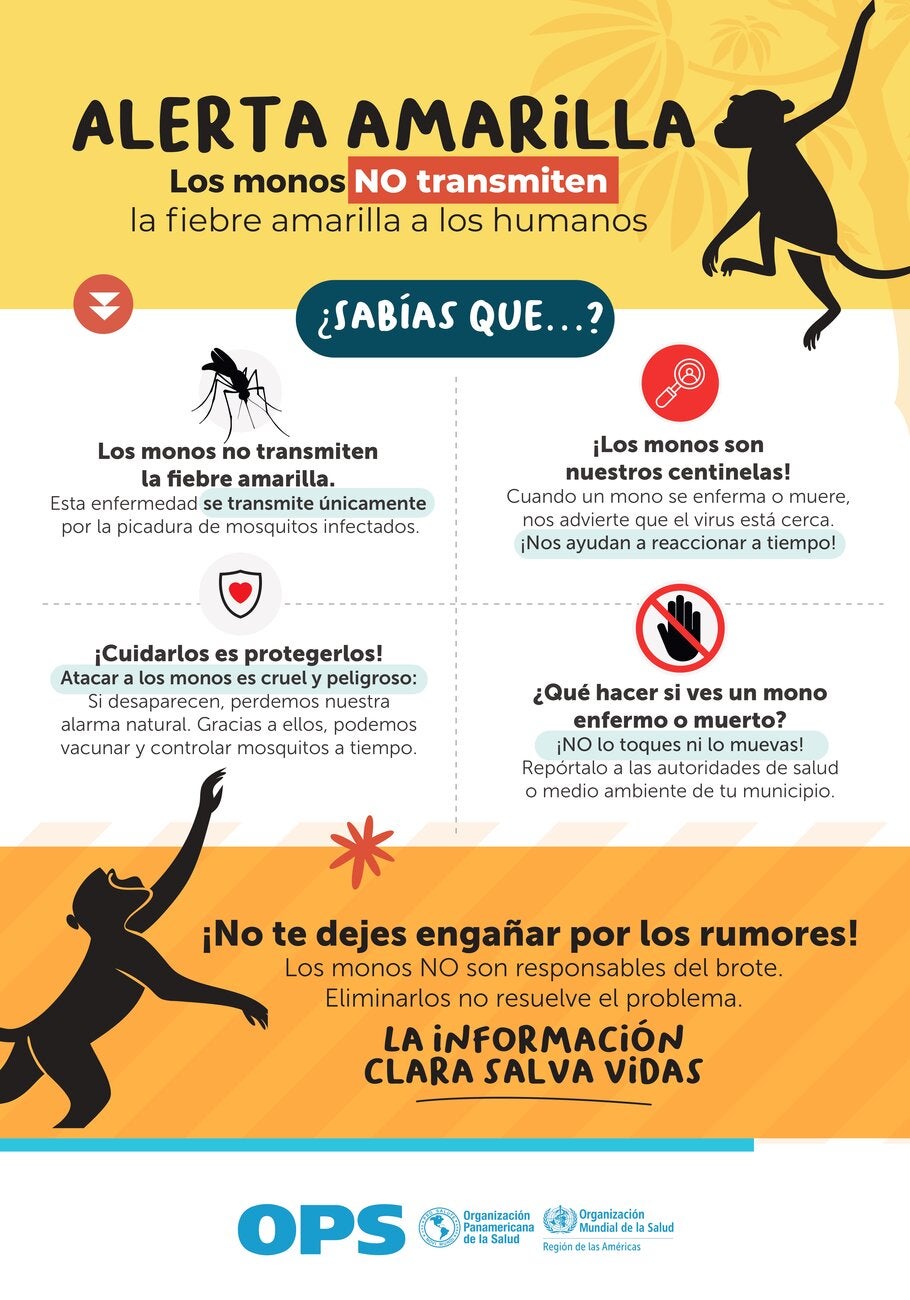 Afiche 8