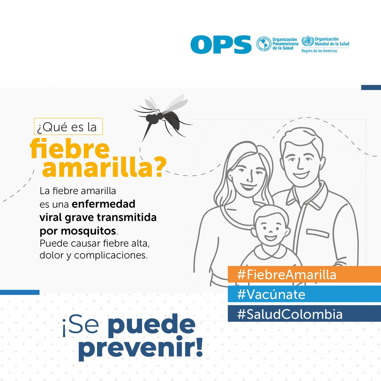 Volante sobre fiebre amarilla
