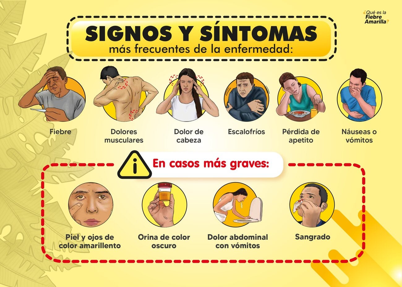 Rotafolio 2