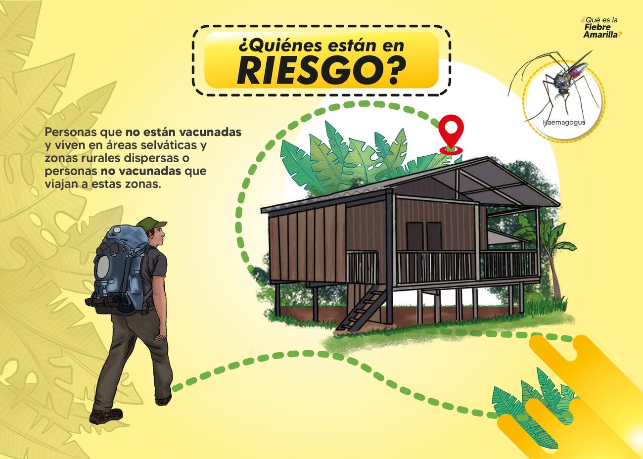 Rotafolio 3