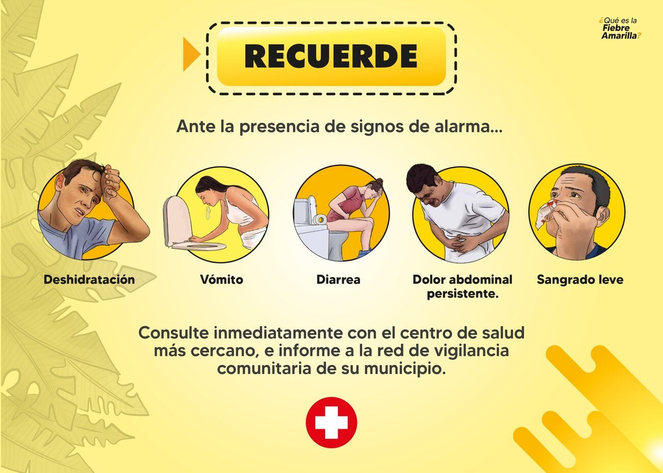 Rotafolio 7