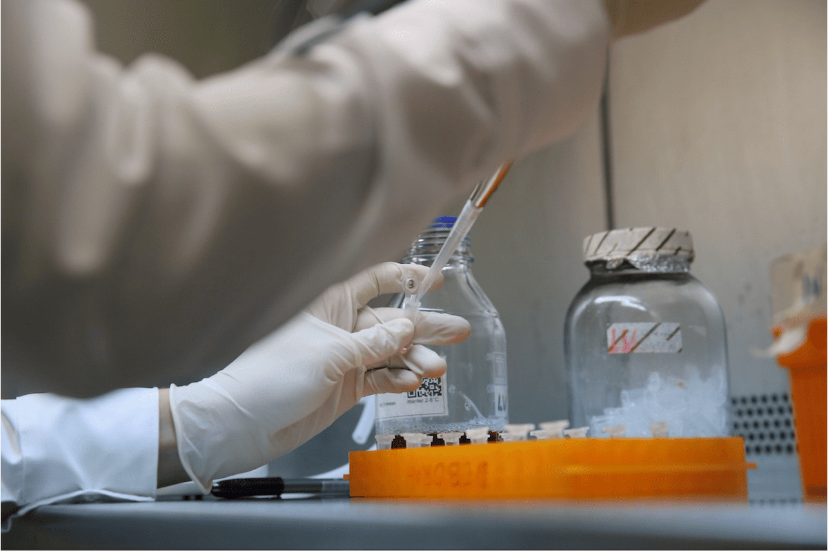 seguridad química