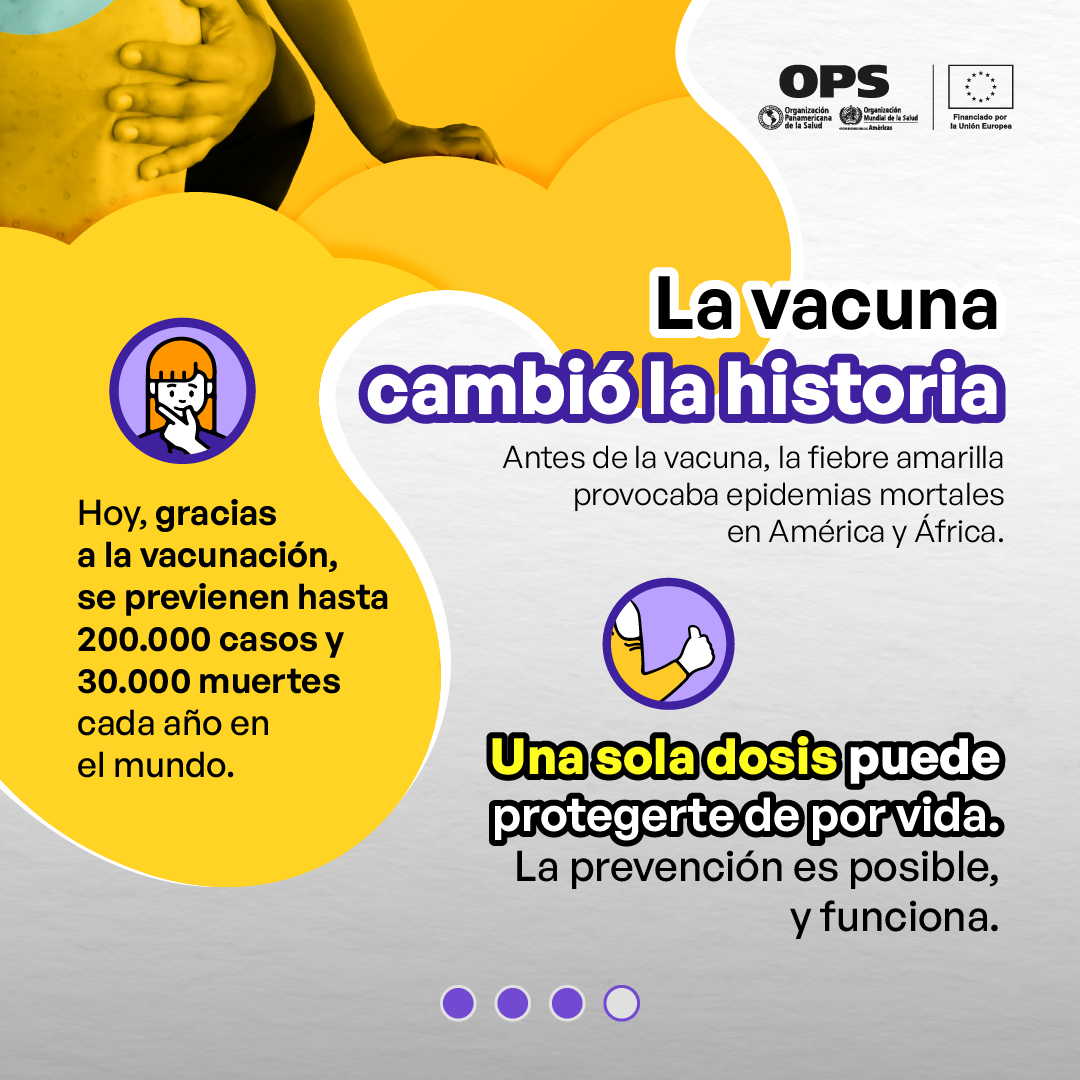 Mitos sobre fiebre amarilla y COVID
