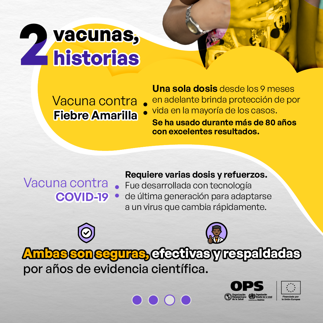Mitas sobre fiebre amarilla y COVID