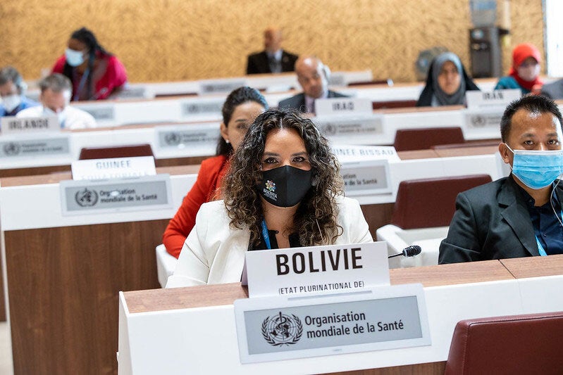 Deputy Minister of Promotion, Epidemiological Surveillance and Traditional Medicine of Bolivia, María Renee Castro