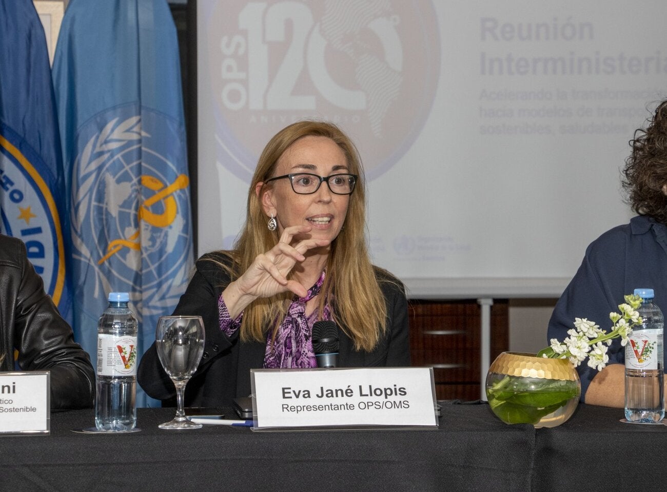 La representante de OPS/OMS en Argentina, Eva Jané Llopis, durante la reunión.