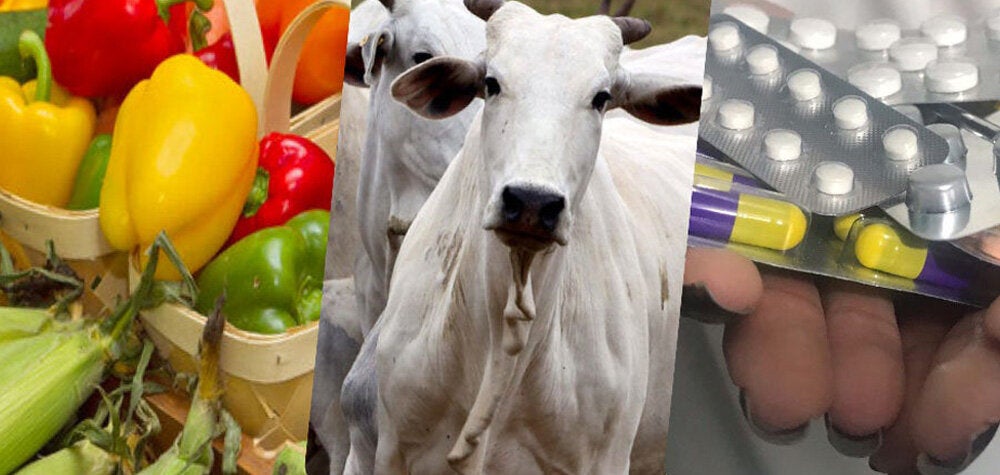 Colombia trabaja unida para combatir la resistencia a los antimicrobianos