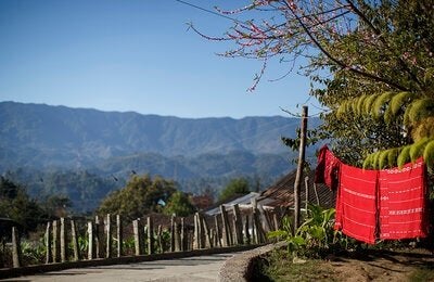 clothesline  - open fields