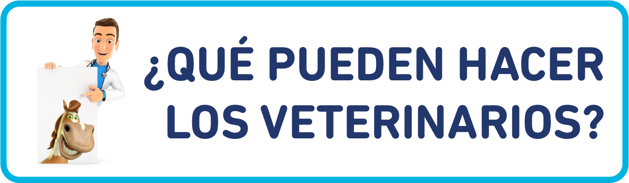 ¿Qué pueden hacer los veterinarios?