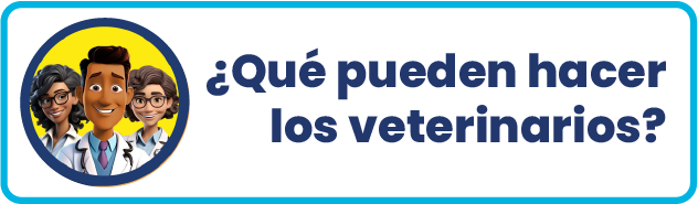 ¿Que pueden hacer los veterinarios?