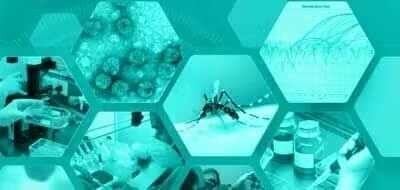 Dengue - datos clave