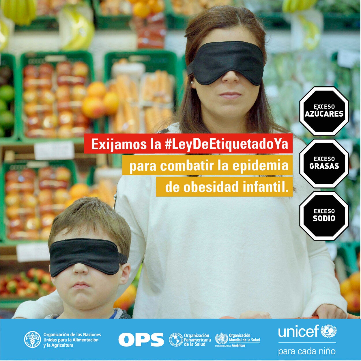 Etiquetado frontal de advertencias en Argentina