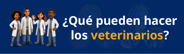 ¿Qué pueden hacer los veterinarios?