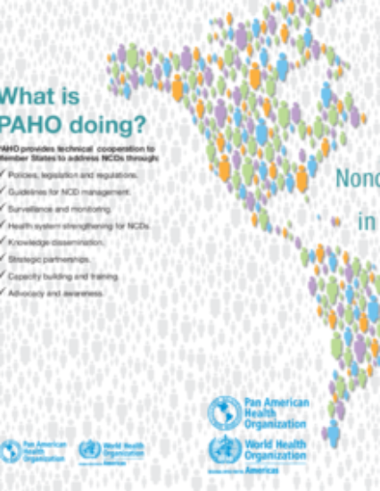 Cover image for the Plan of Action for the Prevention and Control of NCDs in the Americas, 2013-2019
