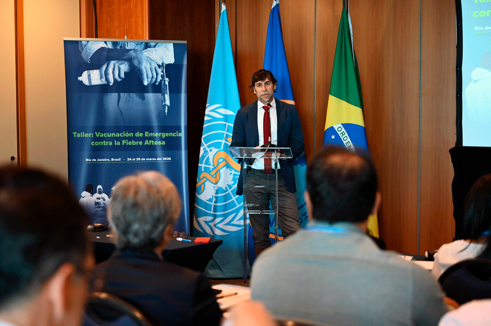 taller de vacunación de emergencia contra la fiebre aftosa