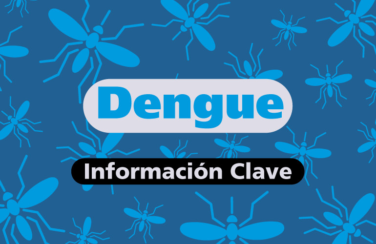 Dengue - Información clave