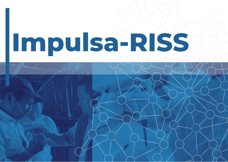 Access the Impulsa-RISS page 