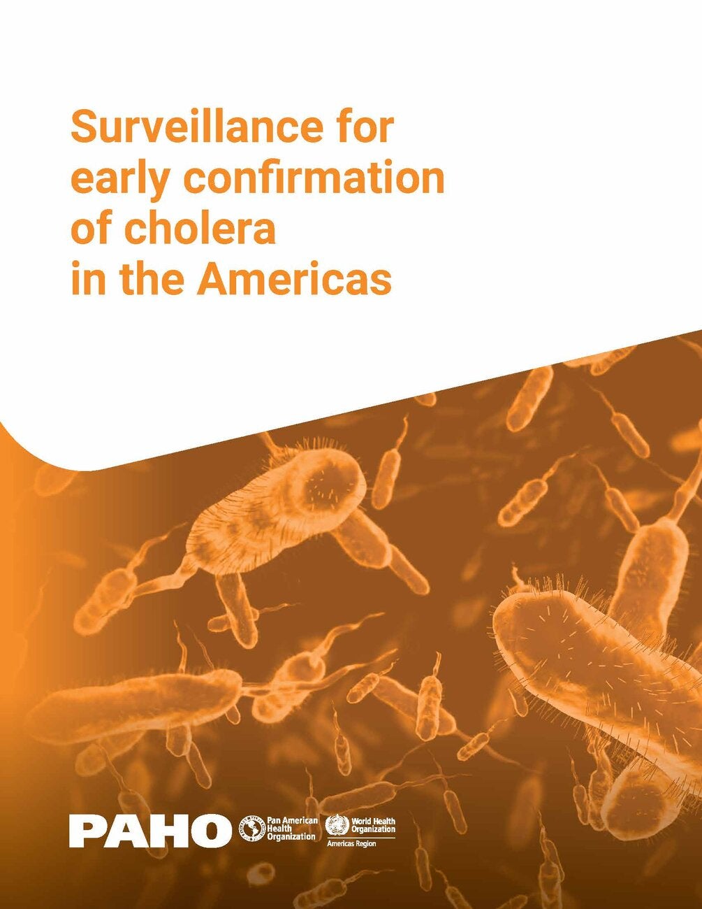 Surveillance cholera
