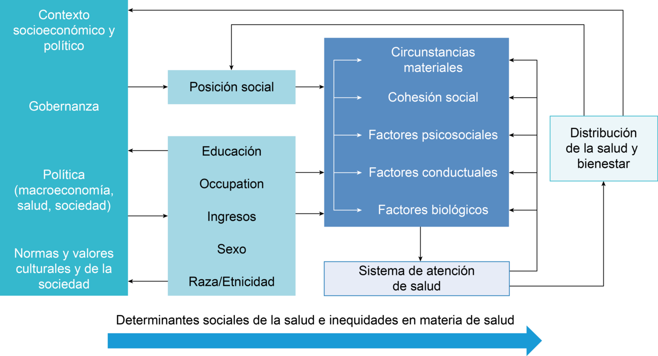 el marco conceptual de los determinantes sociales de la salud 