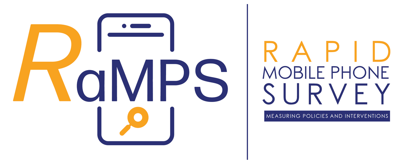 RaMPS: Rapid Mobile Phone Survey