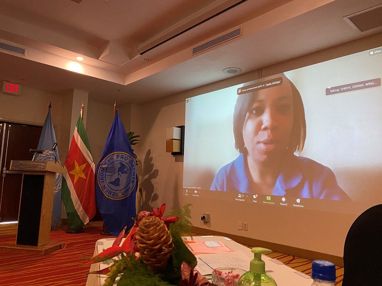 Jamaica's Experience NCD MH Investment Case