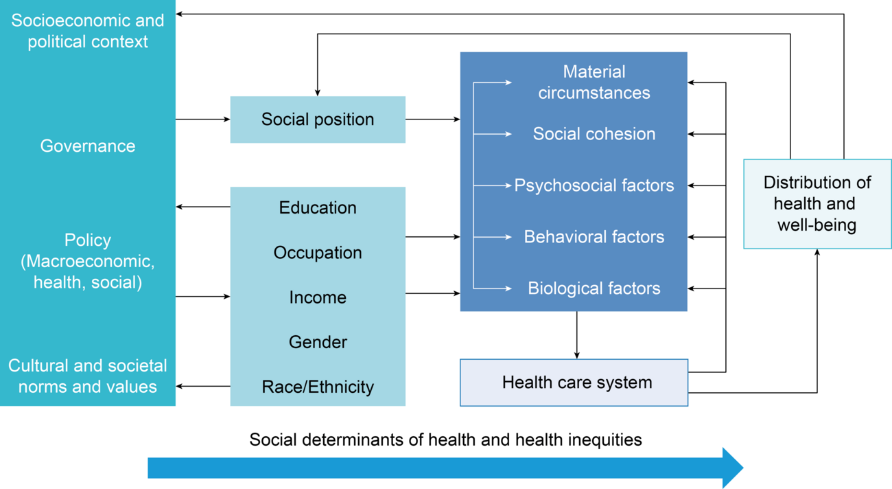 Social determinants of health conceptual framework 