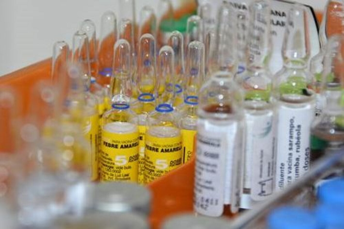 Yellow fever vaccine