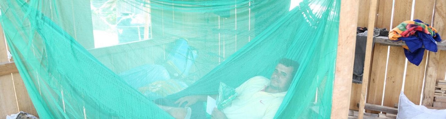 Red para proteger contra las picaduras