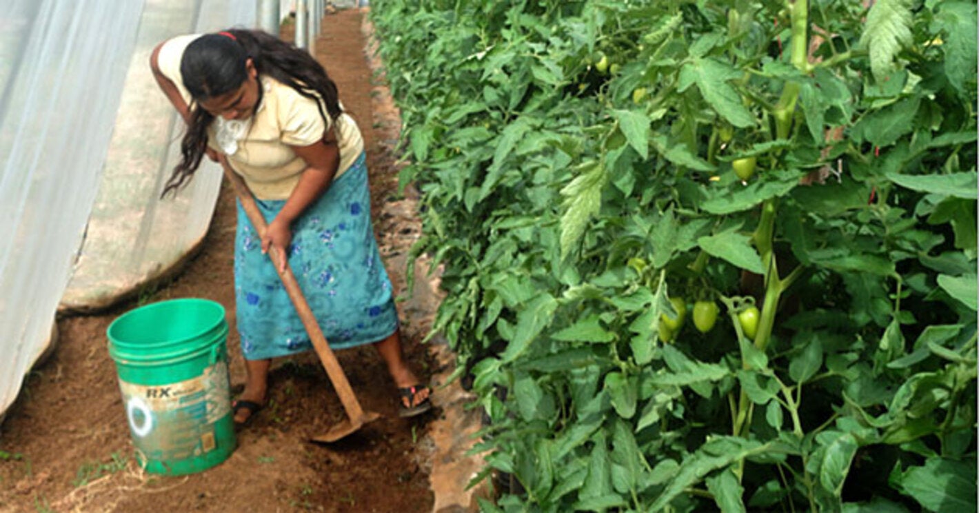 Women spread the word on food safety