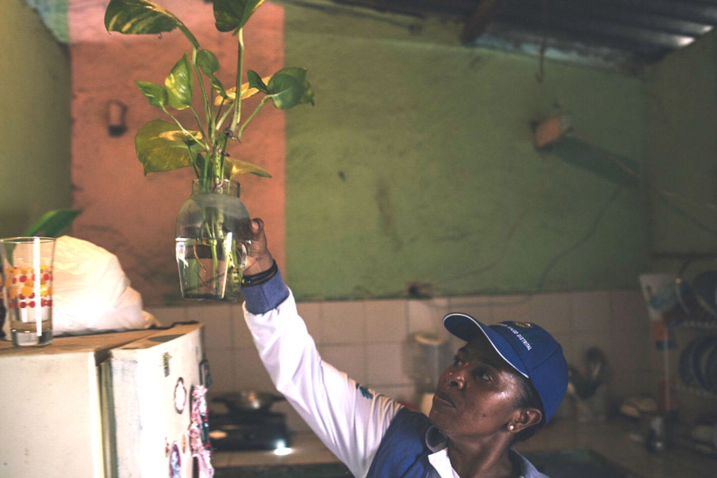 Removal of breeding grounds