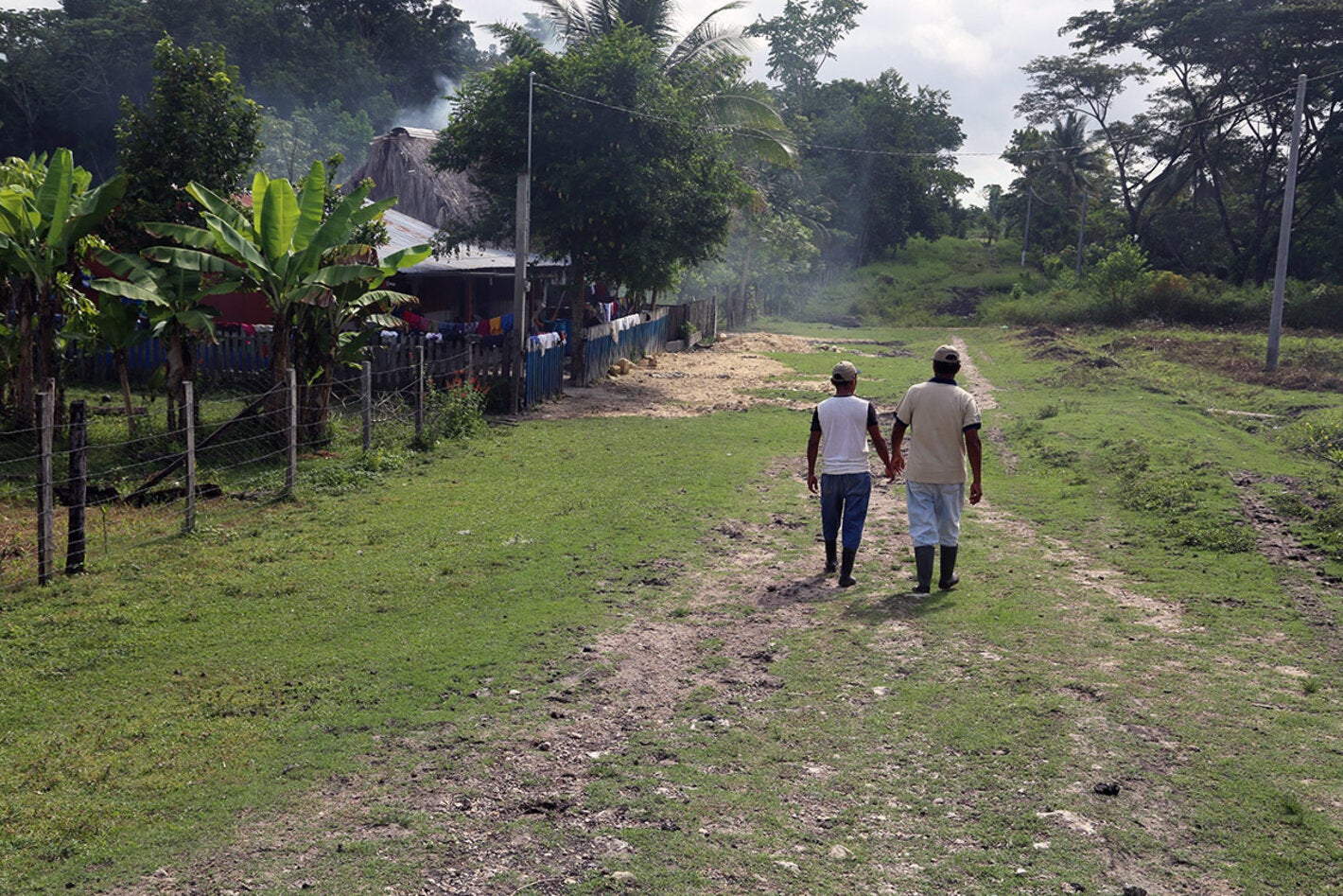 people walking jungle