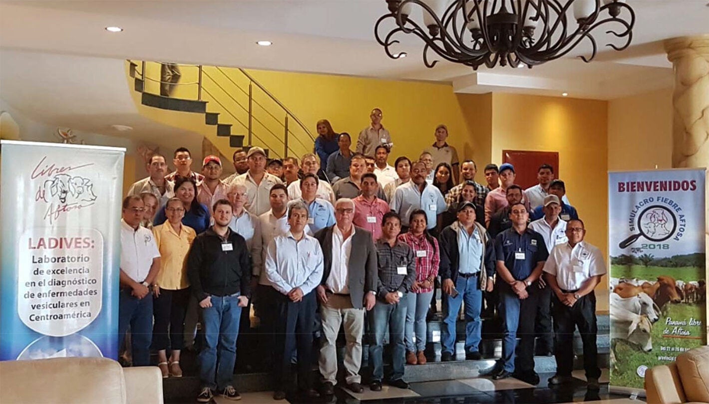 Simulacro de Atención a un Brote de Fiebre Aftosa en Panamá