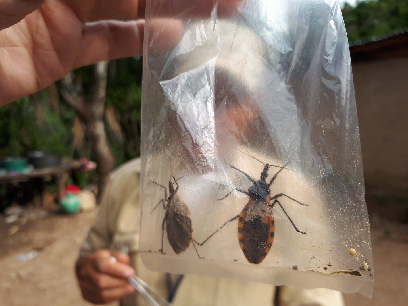 chagas-publication-guide