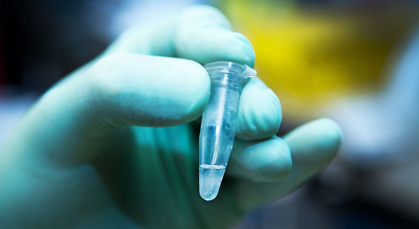 Researcher with green gloves holds laboratory vile