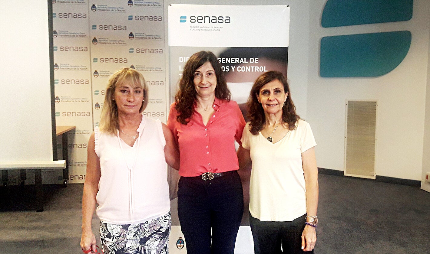 Las participantes de la reunión