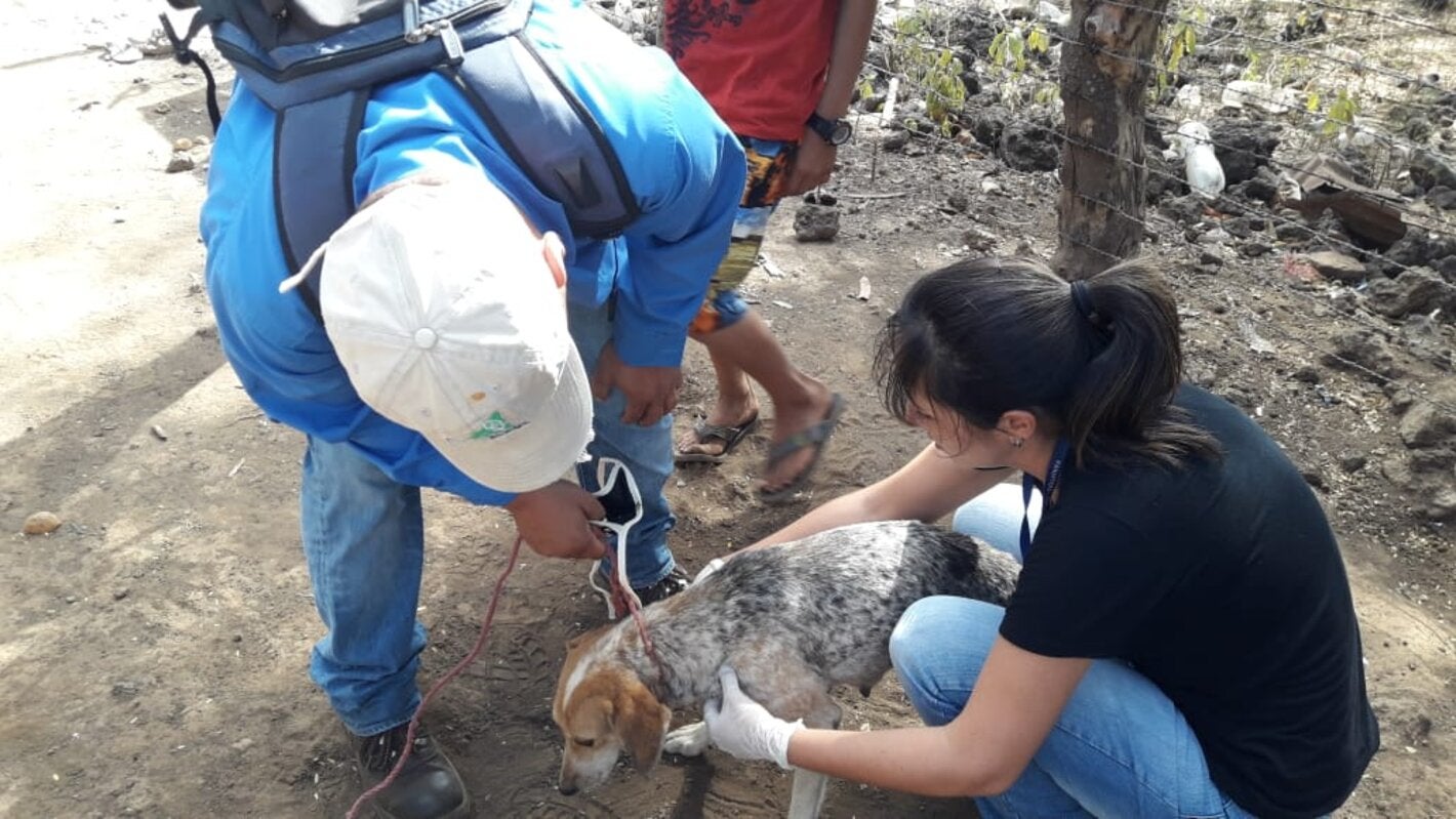 personal de salud en acción