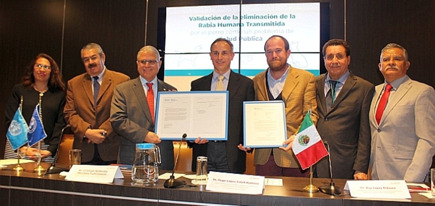 México recibe el certificado de validación de eliminación de la rabia humana transmitida por el perro