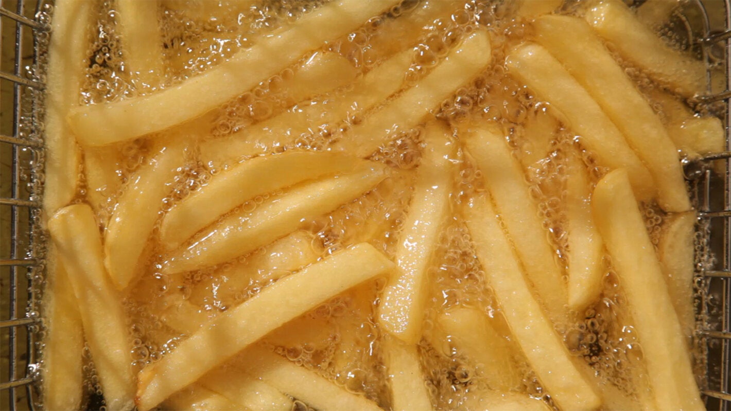 french fries