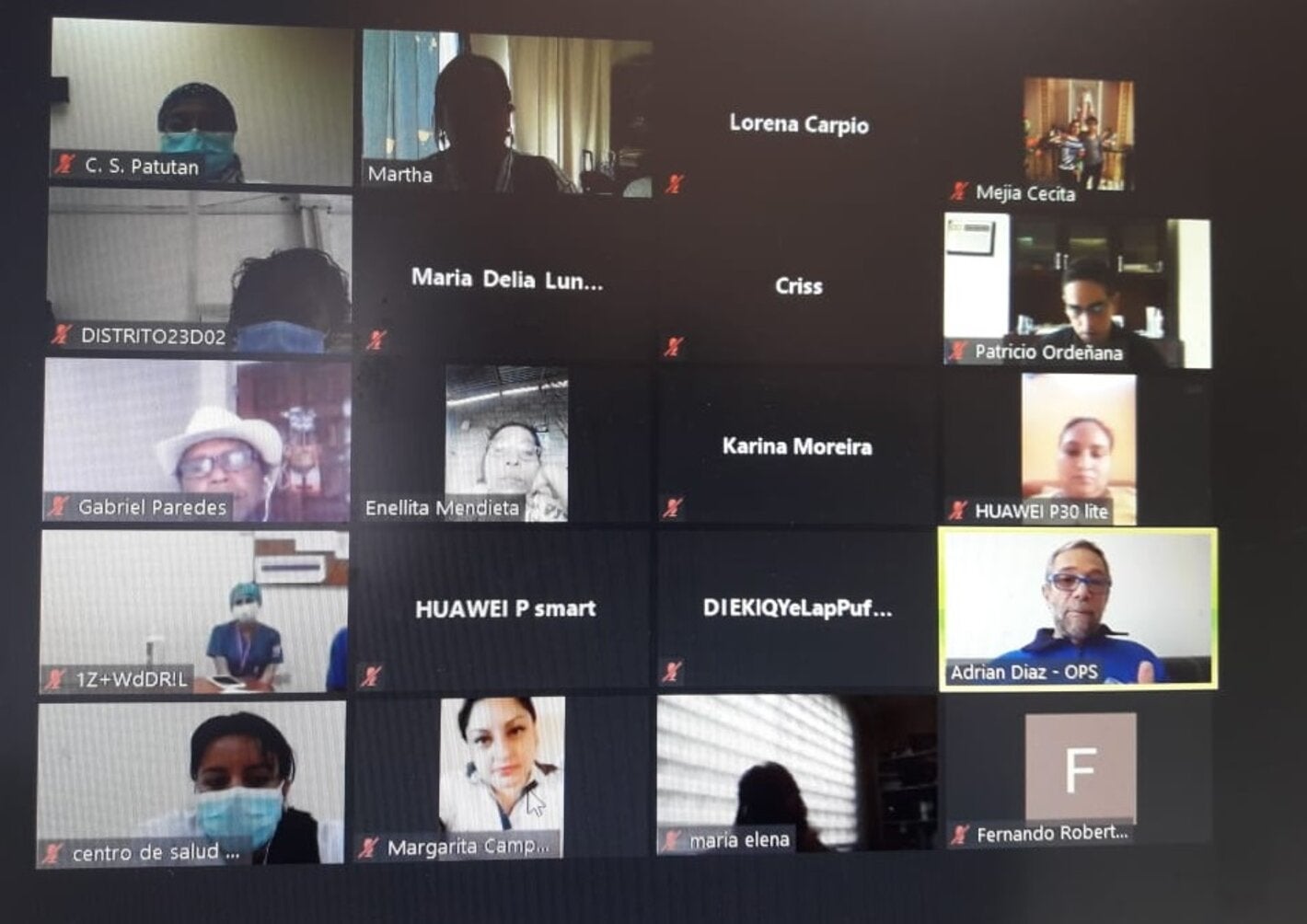 Reunion virtual salud mental